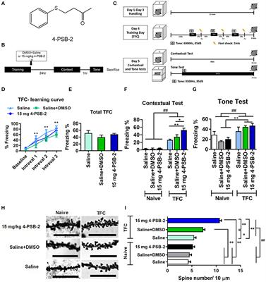 The 4-(Phenylsulfanyl) butan-2-one Improves Impaired Fear Memory Retrieval and Reduces Excessive Inflammatory Response in Triple Transgenic Alzheimer's Disease Mice